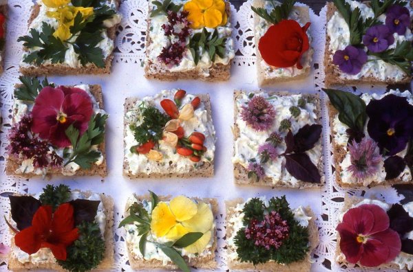 Съедобные цветы семена