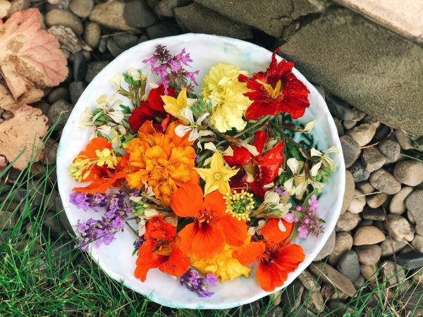 Съедобные цвета