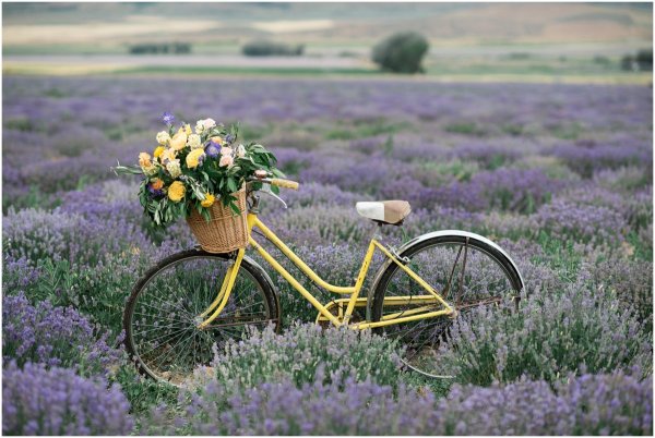 Велосипед Прованс