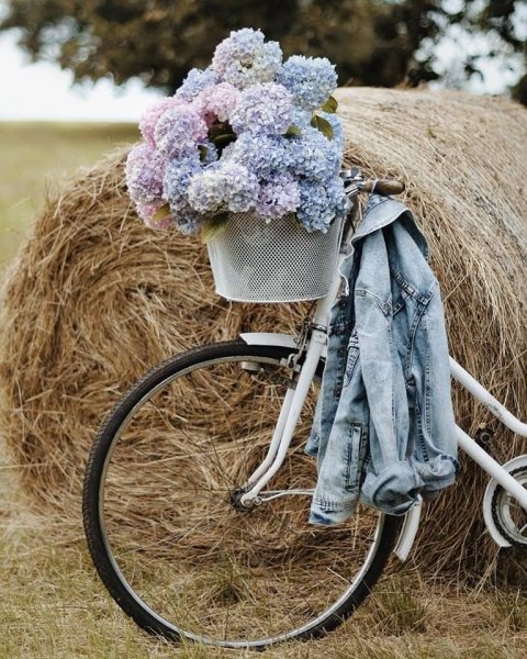 Велосипед цветы