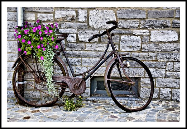 Стена цветы с велосипедом