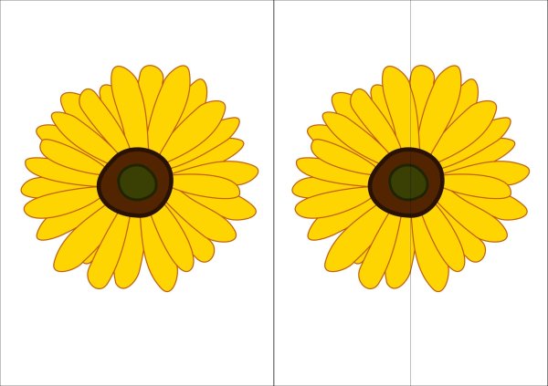 Разрезные картинки цветы