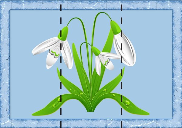 Полевые цветы для детей