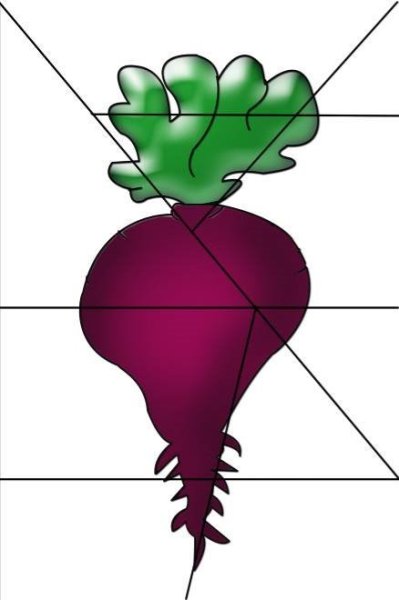 Насекомые дидактический материал