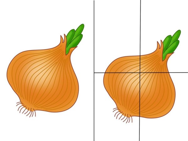 Пазлы фрукты для детей