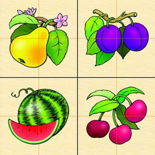 Разрезные комнатные цветы