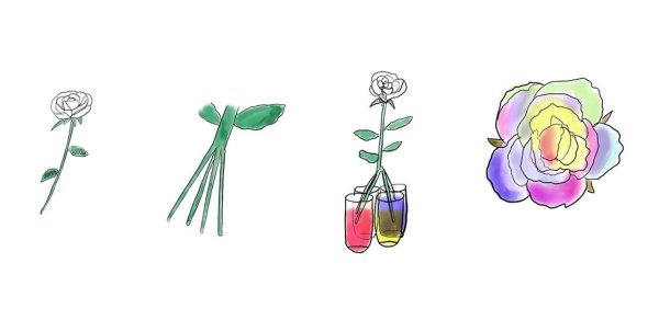 Морковки для счета