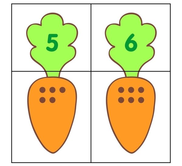 Полевые цветы для детей