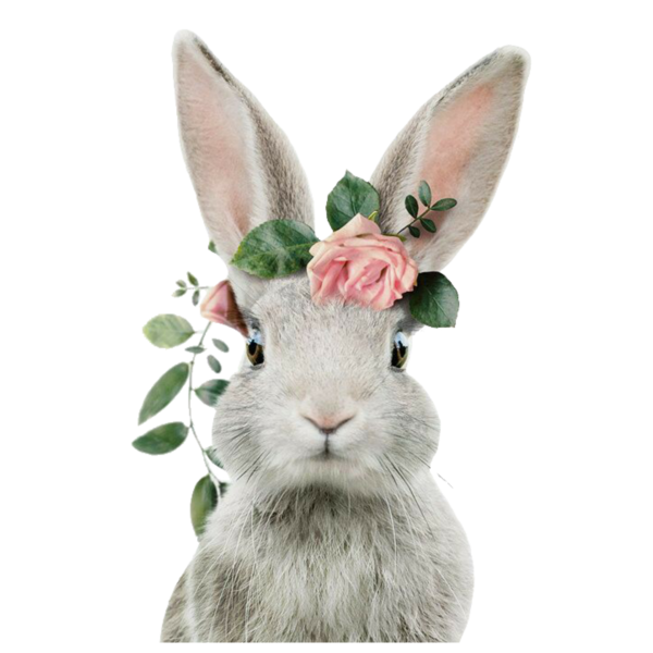 Заяц в цветах