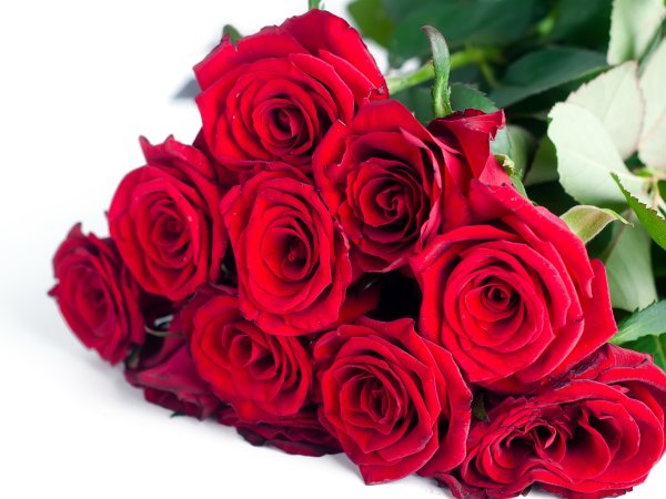 Шикарный букет красных роз