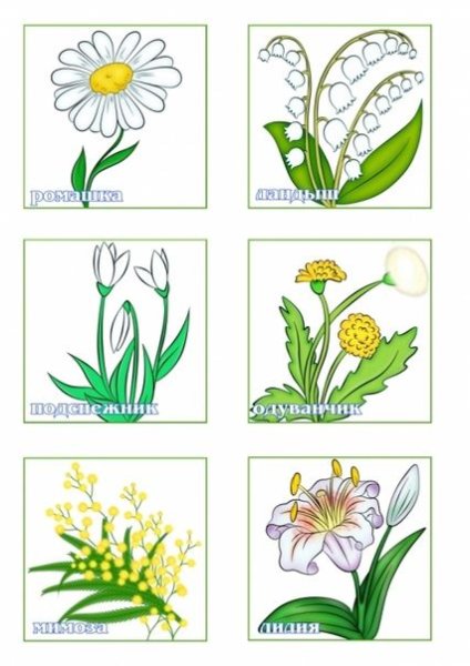 Первоцветы карточки для детей