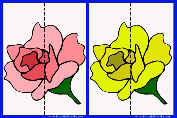 Цветы пазлы для дошкольников