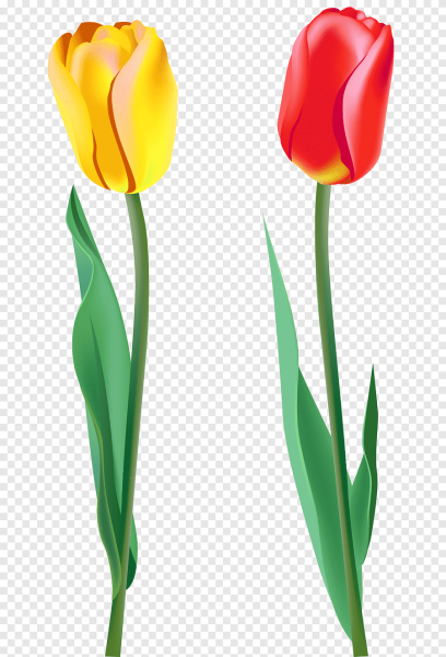 Математические пазлы для детей цветы