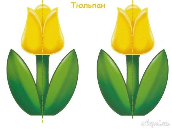 Тюльпаны для вырезания цветные