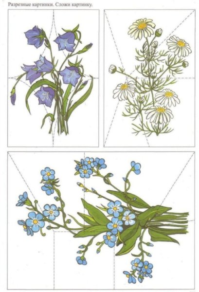 Разрезные картинки цветов для дошкольников