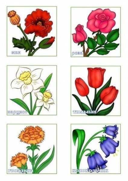 Занятия с детьми на тему цветы