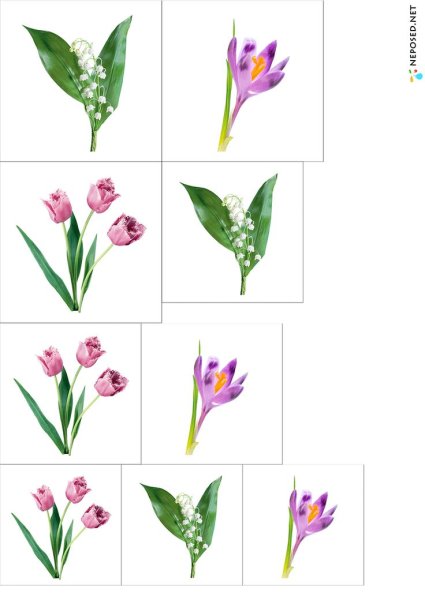 Весенние цветы задания для детей