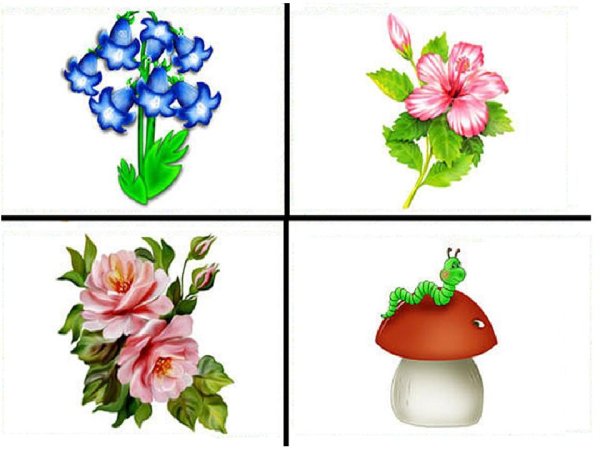 Дидактическая игра цветы