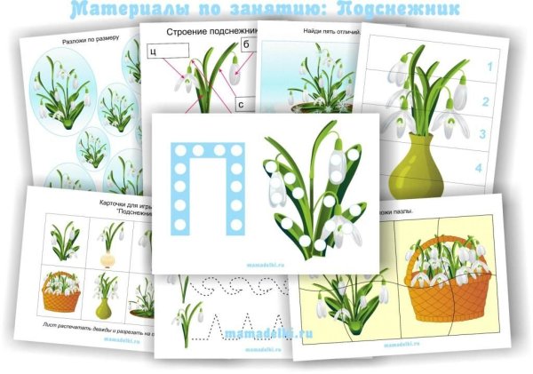 Тематический комплект весенние цветы