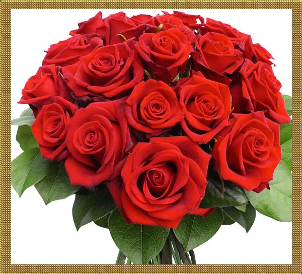 Букет красных роз