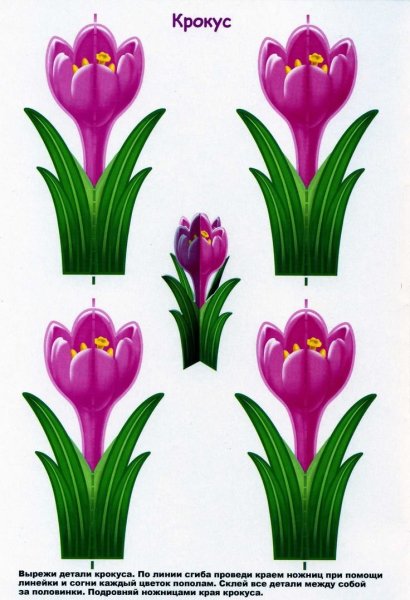 Весенние цветы для вырезания в цвете