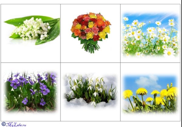 Карточки с весенними цветами