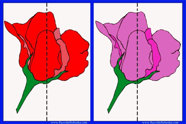 Разрезные цветы для детей