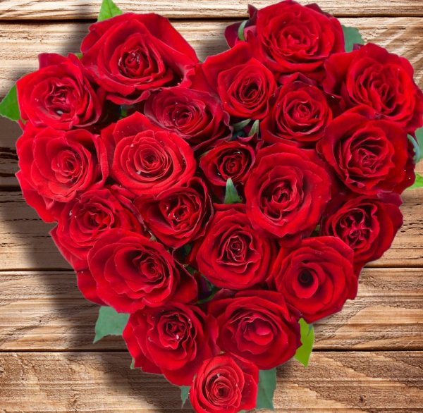 Красные розы