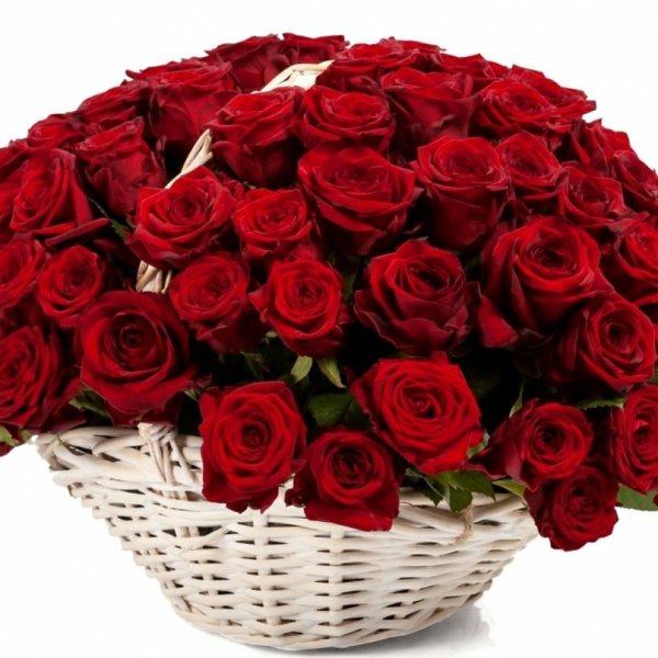 Розы букет большой букет