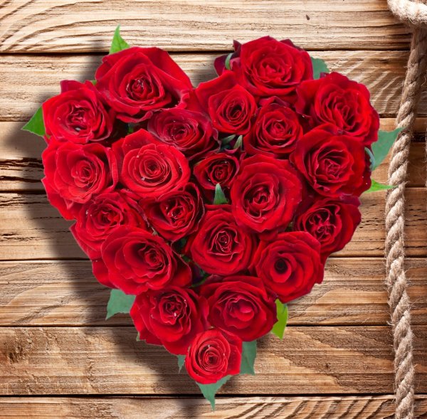 Красивый букет красных роз