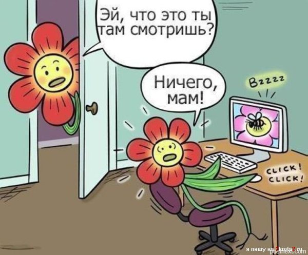 Юмор про цветы в картинках