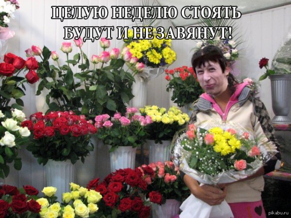 Приколы про цветы
