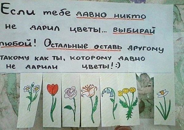 Прикольные надписи про цветы