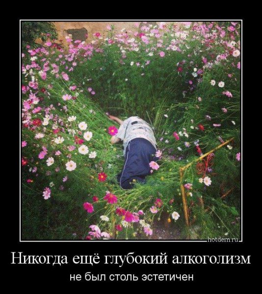 Шутки про флористов