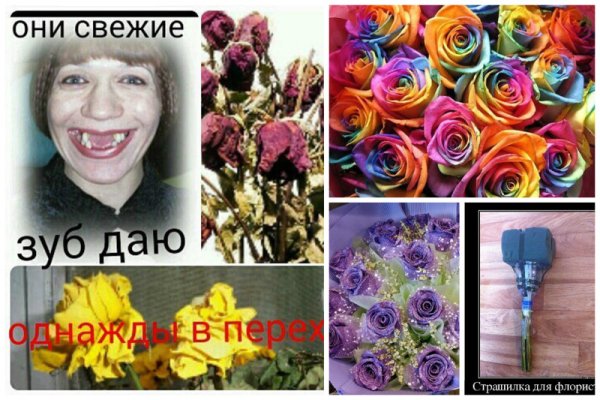 Юмор о цветах