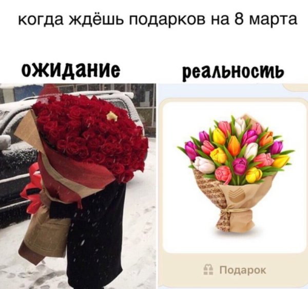 Открытка с кактусом