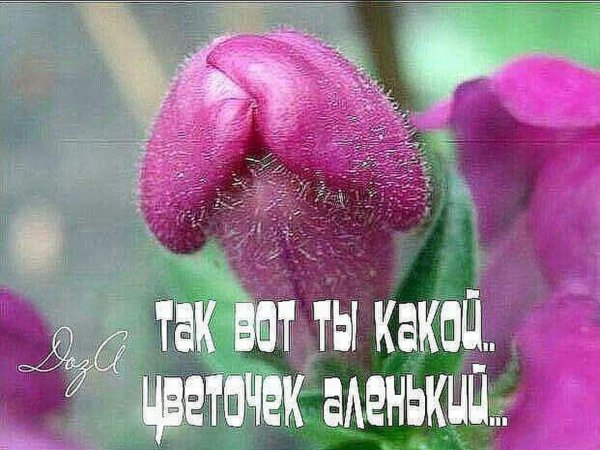 Цветок из купюры