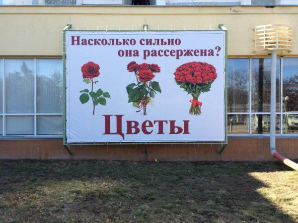 Анекдоты про цветы
