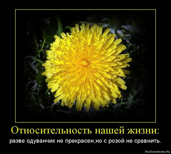 Комикс про цветы
