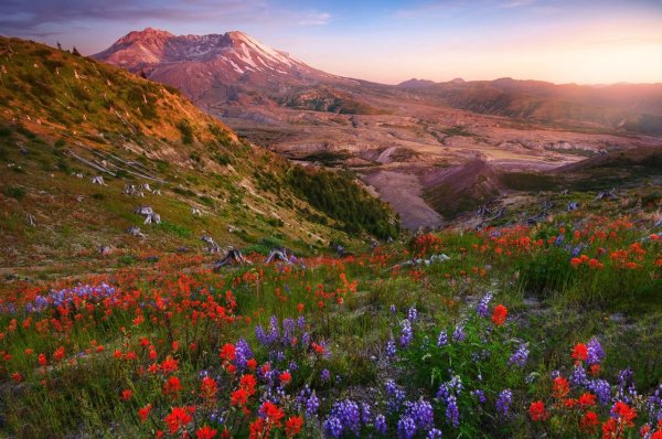Индийский парк «Долина цветов»