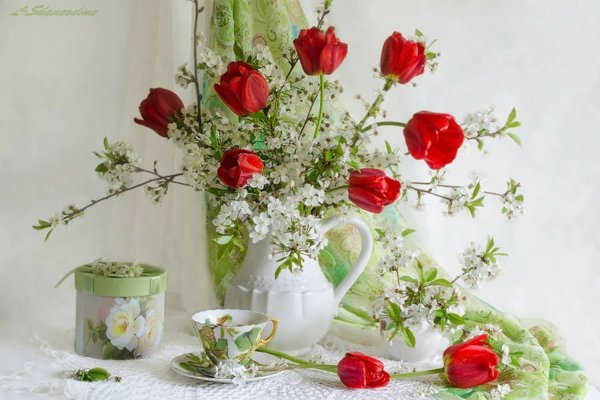 Нежные весенние цветы в чашке