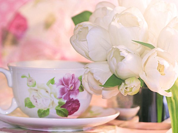 Нежные весенние цветы в чашке