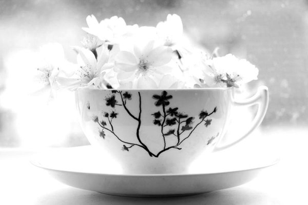 Доброе утро весенние цветы