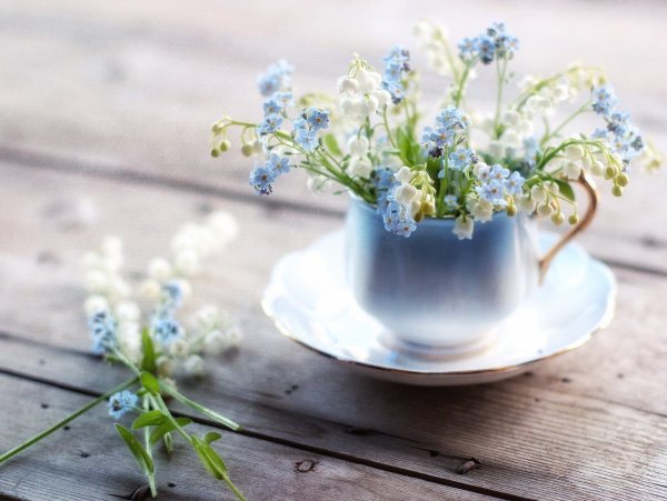 Нежный натюрморт