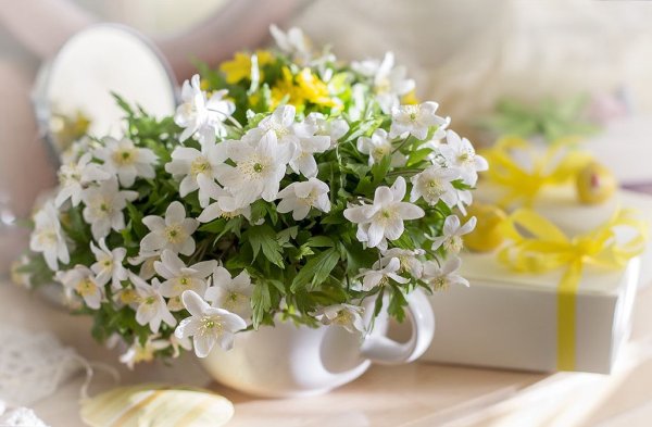 Утро Весна цветы