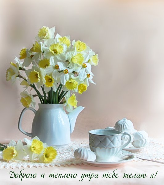 Нежный цветок