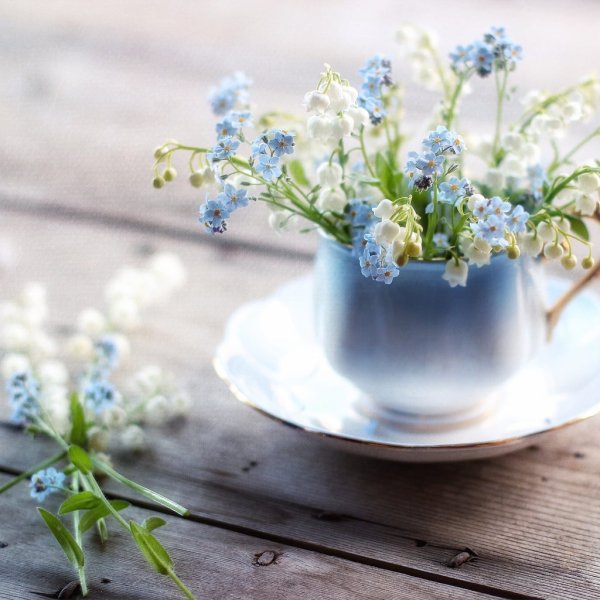 Весенний уют