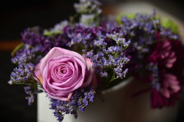 Фиолетовые цветы