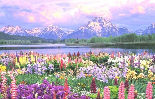 Национальный парк Маунт-Кук новая Зеландия