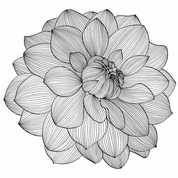 Объемный цветок раскраска